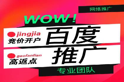 如何优化百度推广：以某行业为例
